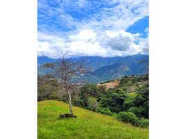  Terreno (Parcela) en venta en San Jeronimo, Antioquia, San Jeronimo