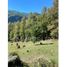  Land for sale in Cautin, Araucania, Pucon, Cautin