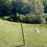  Land for sale in Cautin, Araucania, Pucon, Cautin
