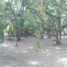  Land for sale in Tuxtla Gutierrez, Chiapas, Tuxtla Gutierrez, Chiapas