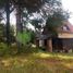  House for sale in Zinapecuaro, Michoacan, Zinapecuaro