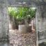  Terreno (Parcela) en venta en Hoctun, Yucatán, Hoctun