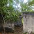 Terreno (Parcela) en venta en Hoctun, Yucatán, Hoctun