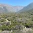  Grundstück zu verkaufen in San Felipe De Aconcagua, Valparaiso, Panquehue, San Felipe De Aconcagua