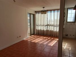 在智利出租的 住宅, Santiago, Santiago, Santiago, 智利