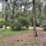  Land for sale in Villa Gesell, Buenos Aires, Villa Gesell