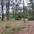  Land for sale in Villa Gesell, Buenos Aires, Villa Gesell