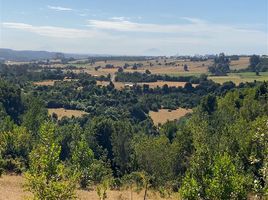  Land for sale in Chile, Los Muermos, Llanquihue, Los Lagos, Chile