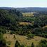  Land for sale in Chile, Los Muermos, Llanquihue, Los Lagos, Chile