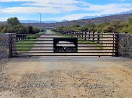 Land for sale in Chile, Puchuncavi, Valparaiso, Valparaiso, Chile