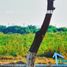  Land for sale in Mazatlan, Sinaloa, Mazatlan, Sinaloa