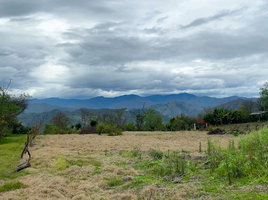  Terreno (Parcela) en venta en Malacatos (Valladolid), Loja, Malacatos (Valladolid), Loja, Loja