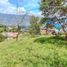  Land for sale in Girardota, Antioquia, Girardota