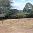  Land for sale in Tumbaco, Pichincha, Tumbaco