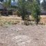  Land for sale in Tumbaco, Pichincha, Tumbaco