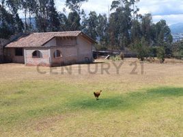  Land for sale in Tumbaco, Pichincha, Tumbaco