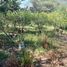  Land for sale in Tumbaco, Pichincha, Tumbaco
