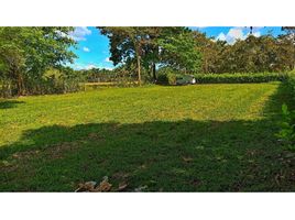  Land for sale in Melgar, Tolima, Melgar