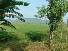  Grundstück zu verkaufen in Lombok Tengah, West Nusa Tenggara, Praya