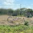  Terreno (Parcela) en venta en Carmen, Campeche, Carmen