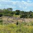  Terreno (Parcela) en venta en Carmen, Campeche, Carmen