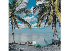  Terreno (Parcela) en venta en Dzidzantun, Yucatán, Dzidzantun
