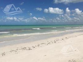  Grundstück zu verkaufen in Lazaro Cardenas, Quintana Roo, Lazaro Cardenas