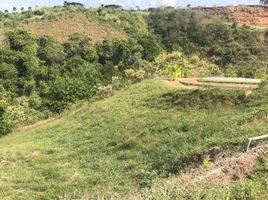  Land for sale in Pereira, Risaralda, Pereira