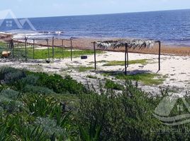  Grundstück zu verkaufen in Othon P Blanco, Quintana Roo, Othon P Blanco
