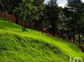  Terreno (Parcela) en venta en San Cristobal De Las Casas, Chiapas, San Cristobal De Las Casas