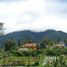 3 Schlafzimmer Haus zu verkaufen in Lembang, West Jawa, Lembang, Bandung
