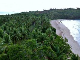  Land for sale in Puerto Princesa City, Mimaropa, Puerto Princesa City, Palawan, Mimaropa