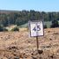  Terreno (Parcela) en venta en Los Sauces, Malleco, Los Sauces