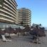 1 Bedroom Condo for sale in Compostela, Nayarit, Compostela