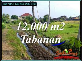  Land for sale in Tabanan Bali, Kerambitan