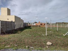  Terreno (Parcela) en venta en La Plata, Buenos Aires, La Plata