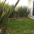 4 Bedroom House for rent in Santa Isabel Cholula, Puebla, Santa Isabel Cholula, Puebla