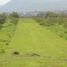  Land for sale in Yautepec, Morelos, Yautepec