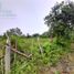  Land for sale in San Vicente, Manabi, San Vicente, San Vicente