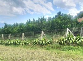  Grundstück zu verkaufen in Karangploso, East Jawa, Karangploso