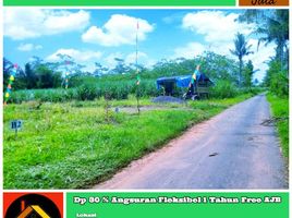  Land for sale in Kepanjen, Malang Regency, Kepanjen