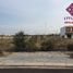  Land for sale in O Cho Dua, Hanoi, O Cho Dua