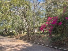  Terreno (Parcela) en venta en Huitzilac, Morelos, Huitzilac