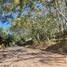  Terreno (Parcela) en venta en Huitzilac, Morelos, Huitzilac