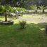 在Coatepec, Veracruz出售的 土地, Coatepec