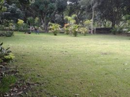 在Coatepec, Veracruz出售的 土地, Coatepec
