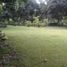  Land for sale in Coatepec, Veracruz, Coatepec