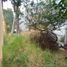  Land for sale in Benito Juarez, Mexico City, Benito Juarez