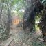  Land for sale in Benito Juarez, Mexico City, Benito Juarez