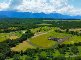  Grundstück zu verkaufen in Montemorelos, Nuevo Leon, Montemorelos